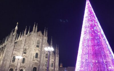 Sapins de Noël en photos !