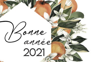Découvrez le nouveau Tam Tam