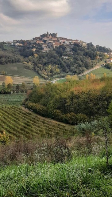 Journée Trek: Cella Monte et les vignobles Piémontais